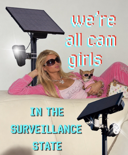 A collage-style digital artwork featuring Paris Hilton wearing a pink velvet Juicy Couture tracksuit, dark sunglasses, and a sparkling butterfly necklace while reclining on a sofa with a small chihuahua in matching pink gear. Overlaid around her are large black solar-powered security cameras mounted on poles. Glowing pixelated light blue text reads "we're all cam girls" at the top and "IN THE SURVEILLANCE STATE" at the bottom.